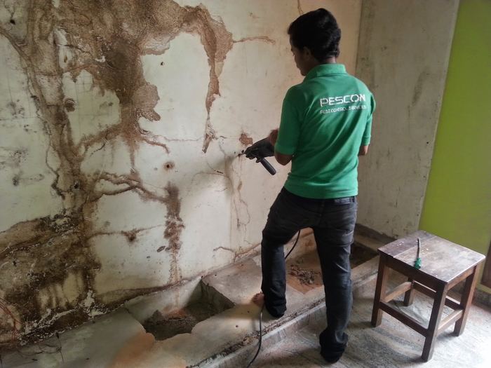 Technician drilling a termite-damaged wall for anti-termite treatment